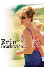 Nonton film Erin Brockovich (2000) subtitle indonesia