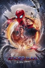 Nonton film Spider-Man: No Way Home (2021) subtitle indonesia